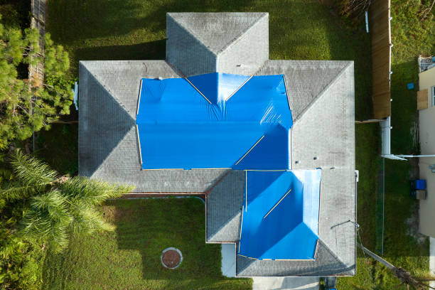 Professional Roofing Services in New Braunfels, TX